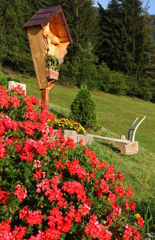 Agritur Fior Di Bosco Hotell Valfloriana Eksteriør bilde
